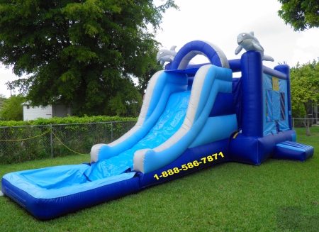 bounce_house_dolphin_pool.jpg