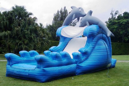 dolphin_wather_slide_pool.jpg